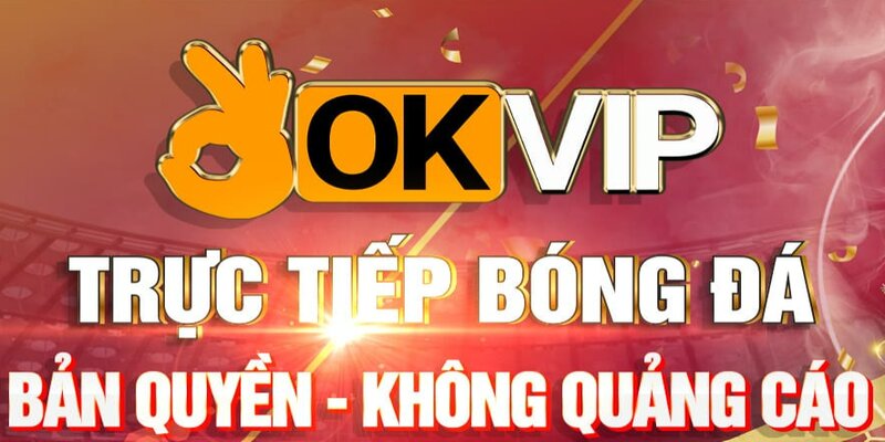 Okvip - Điểm đặt kèo uy tín